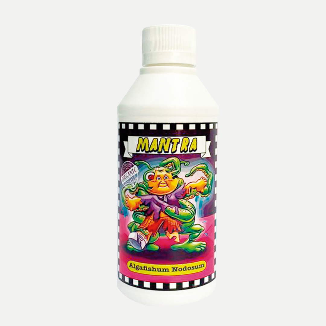 Algafishum Nodosum MANTRA