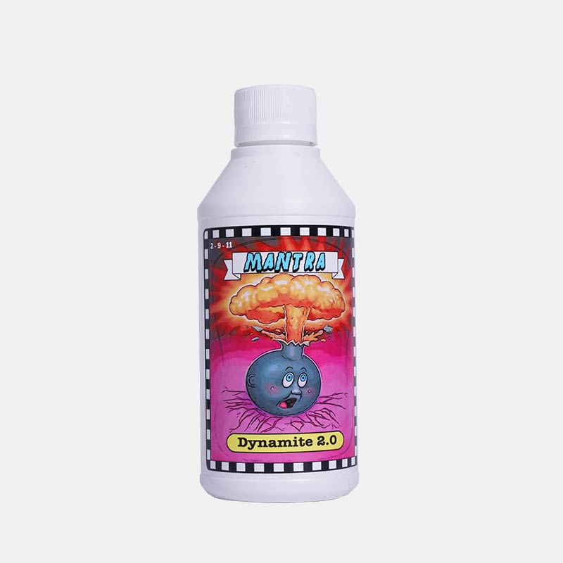 Dynamite 2.0 MANTRA