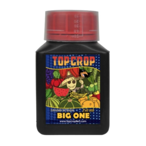 TOP CROP BIG ONE 250cc